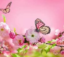 Схема вышивки «№928742»