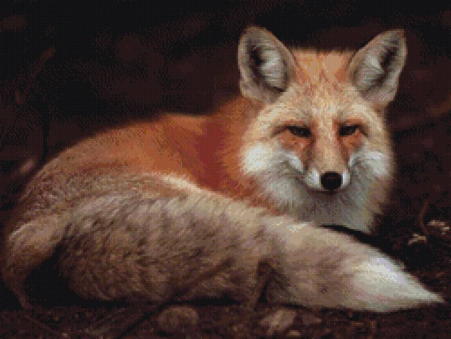 лисица красная - лисички, звери, хищники, лис, животные - предпросмотр
