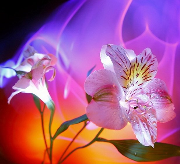 сияние - оригинал