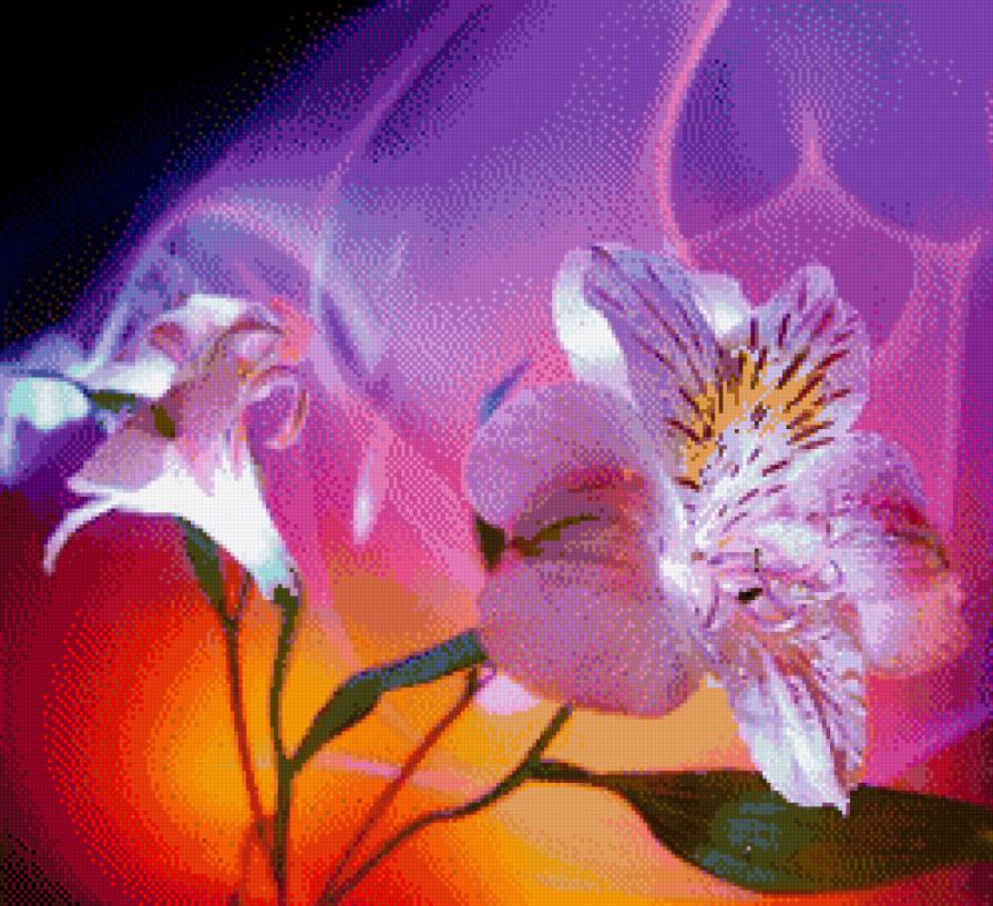 сияние - предпросмотр