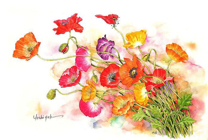 маки - цветы, живопись, картина, искусство - оригинал