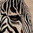 Предпросмотр схемы вышивки «зебра и леопард» (№929081)