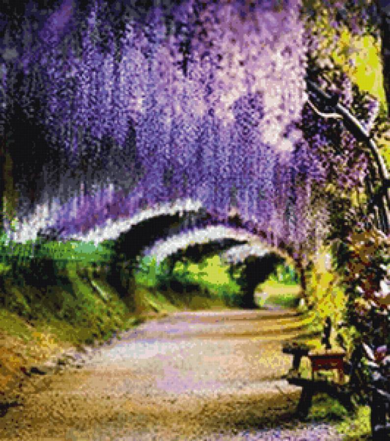 глициневая аллея - предпросмотр