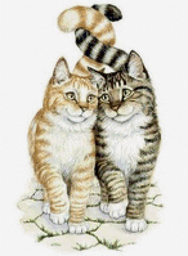 Пара коты - предпросмотр