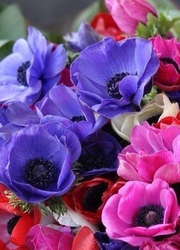 Букет - букеты, цветы - оригинал