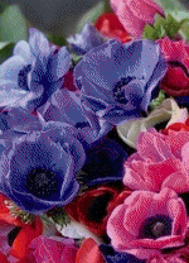 Букет - букеты, цветы - предпросмотр