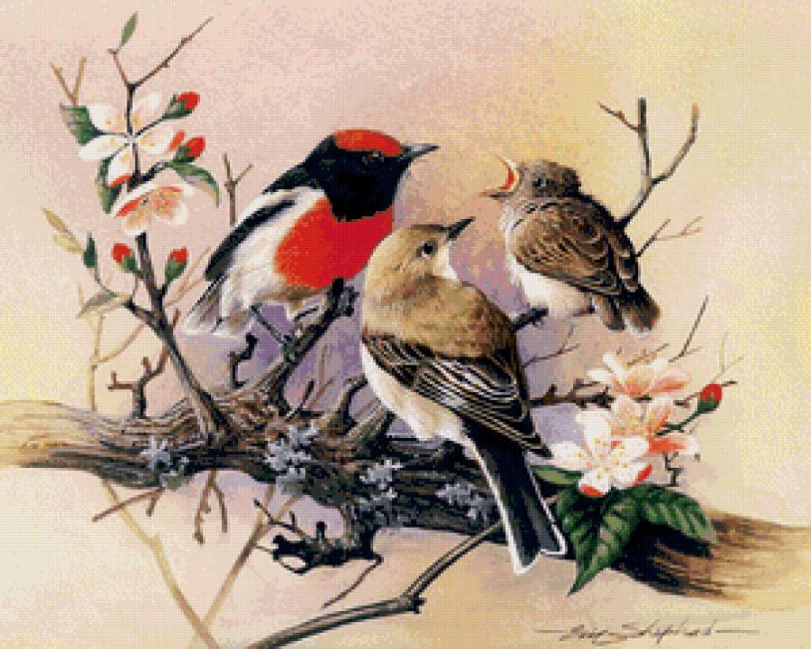 птицы на весеннем дереве - дерево, графика, весна, вишня, ветка, птицы, цветы - предпросмотр