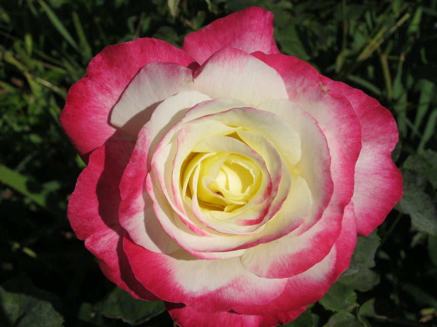 №929725 - оригинал