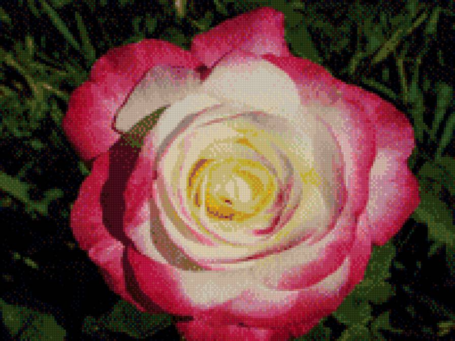 №929725 - предпросмотр