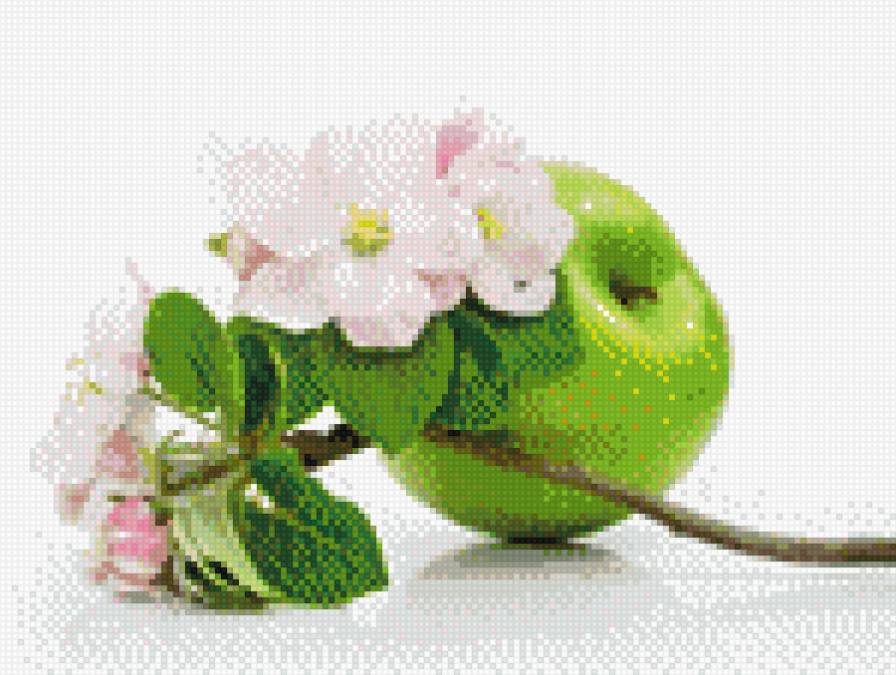 Яблоня - цветы, яблоко - предпросмотр