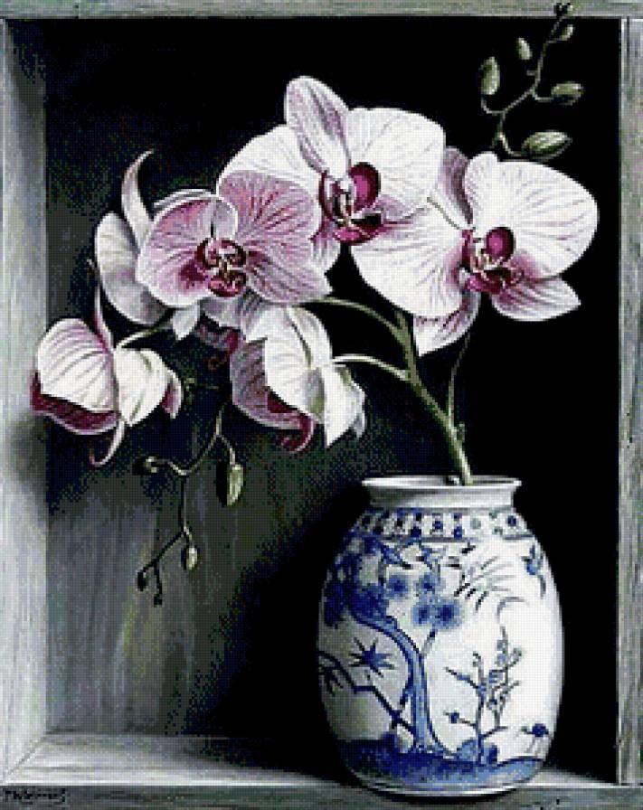 Орхидеи - натюрморт, ваза, цветы, орхидеи - предпросмотр
