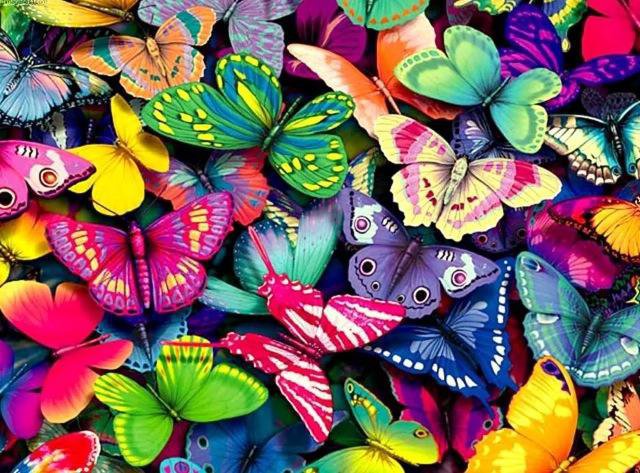 Много бабочек. - многоцветье, бабочки, яркость - оригинал