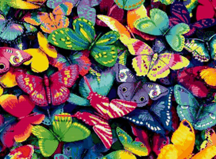 Много бабочек. - яркость, бабочки, многоцветье - предпросмотр