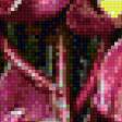 Предпросмотр схемы вышивки «Орхидеи красные.» (№930138)