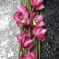 Схема вышивки «Орхидеи красные.»