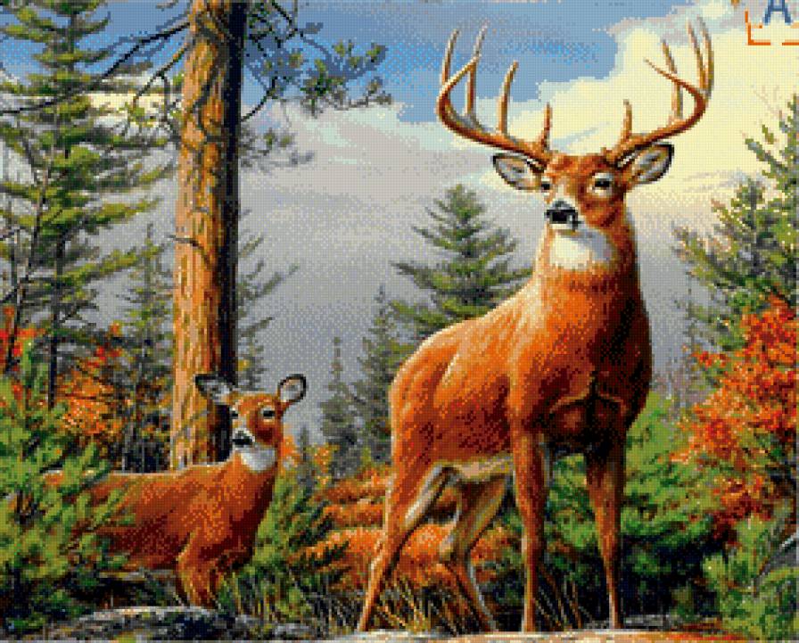 Пара оленей в лесу. - олени, осень, лес, символ, пара - предпросмотр