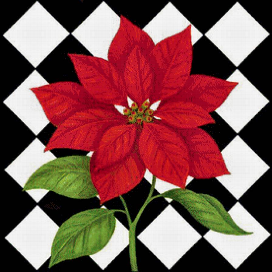 Подушка. Пуансетия. - цветок, пуантенсия, подушка, арлекино - предпросмотр