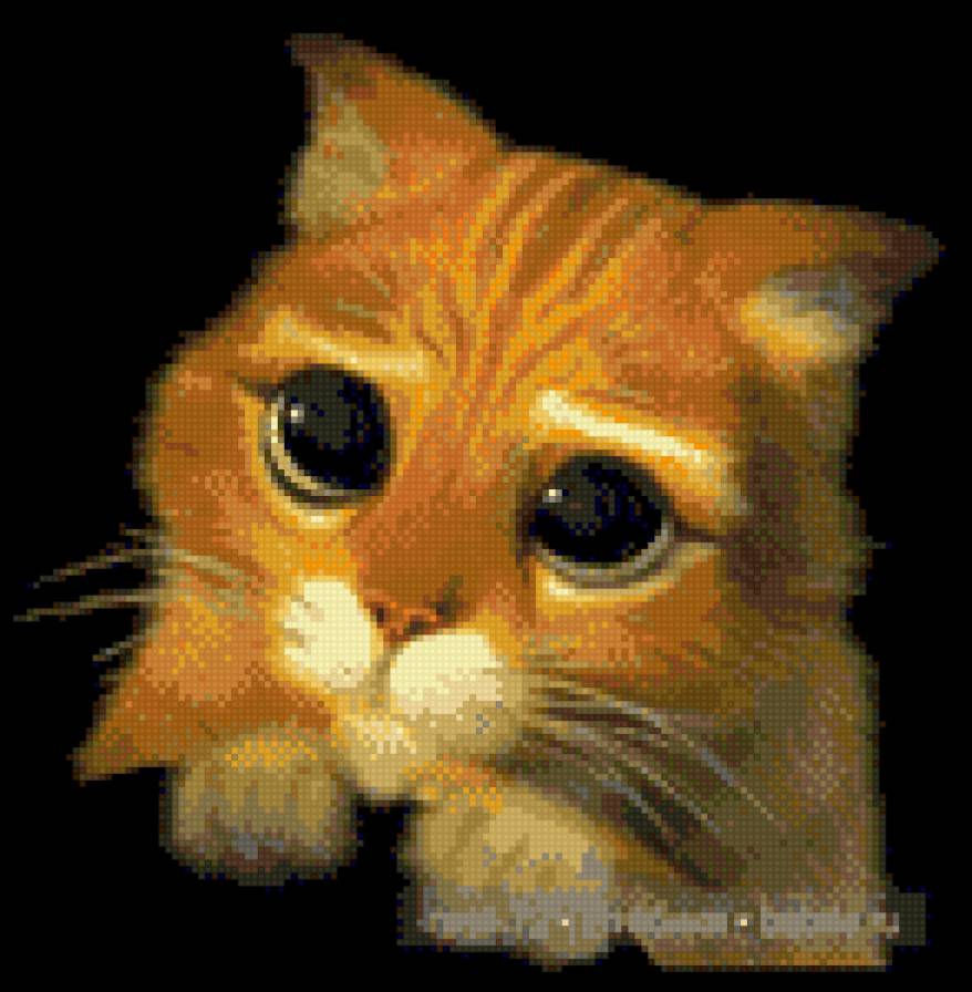 мяу!!!!! - предпросмотр