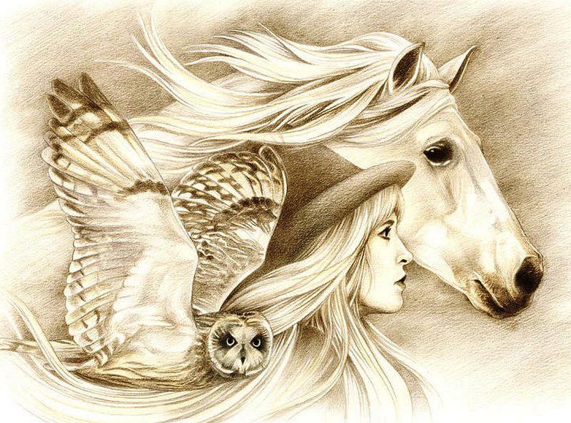 №930856 - животные, девушка, люди, сова, женщина, лошадь - оригинал