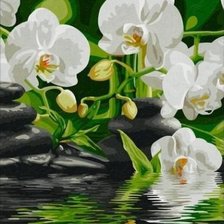 Схема вышивки «Триптих "Романтика орхидеи" чентр»