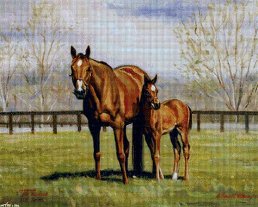 лошадь с жеребёнком - жеребец, природа, мать, ребенок, животные, лошадь, семья - предпросмотр