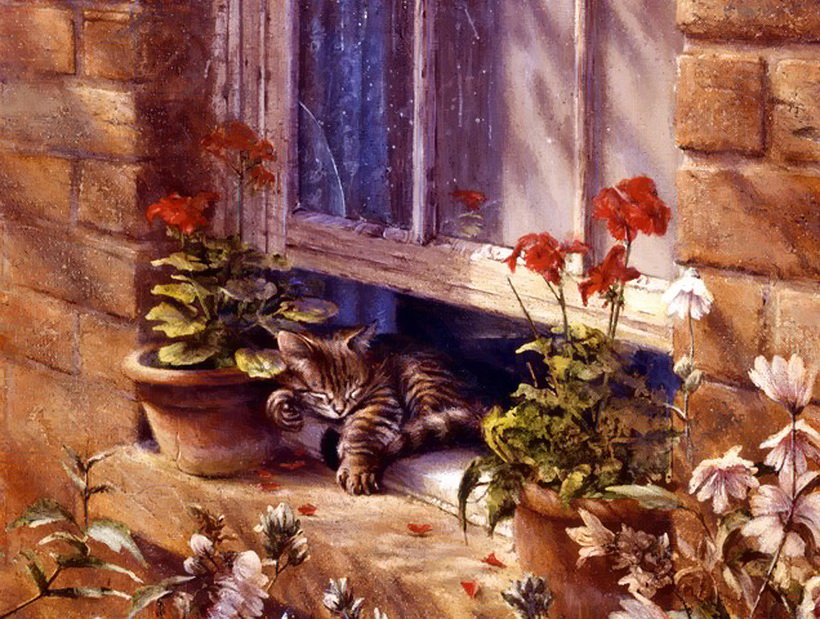 пристроился - коты, кот - оригинал