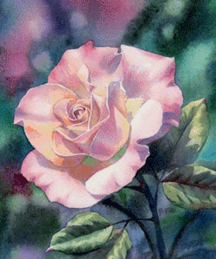 роза - предпросмотр