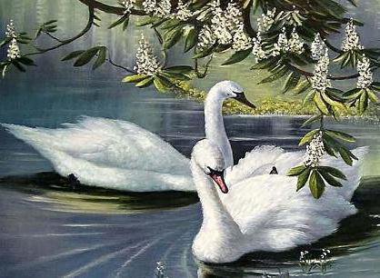 Лебединая песня - нежность, птицы - оригинал