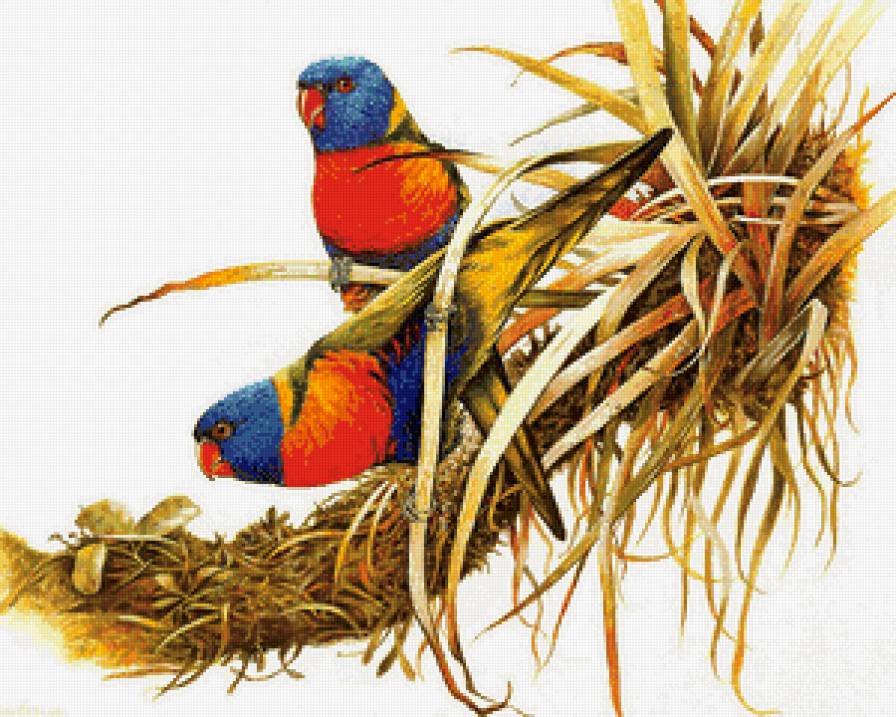 пара птиц на ветке - сад, цветы, семья, ветка, птицы, пара, любовь - предпросмотр