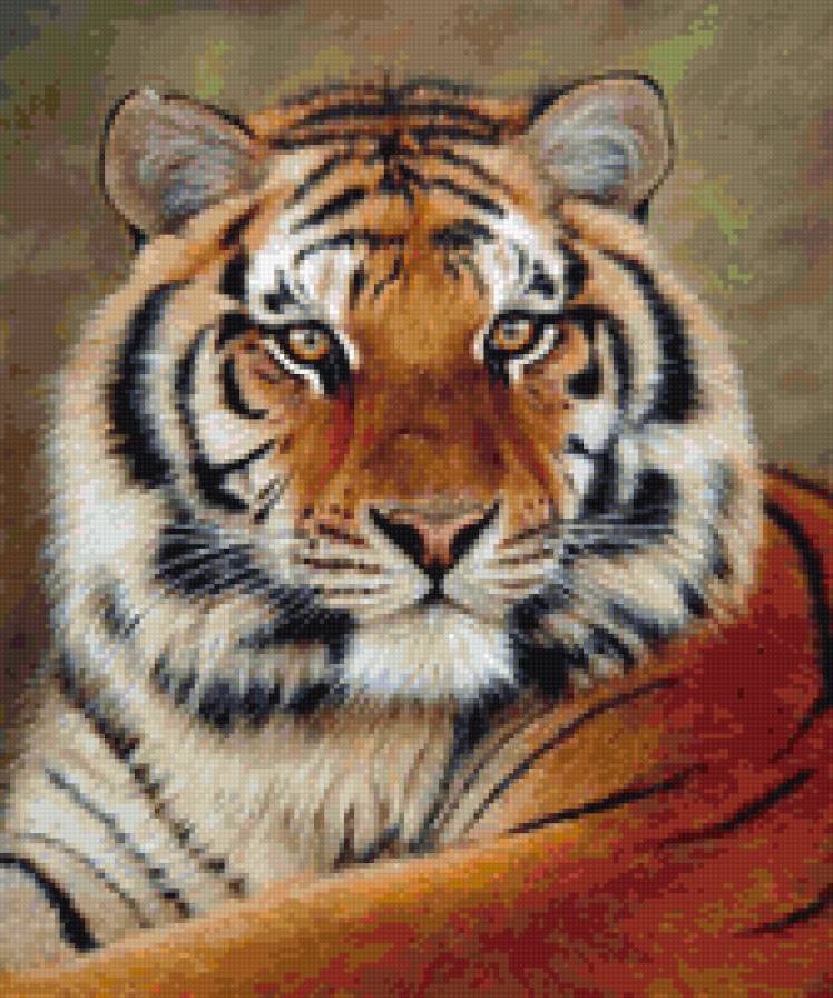 ТИГР - животные - предпросмотр