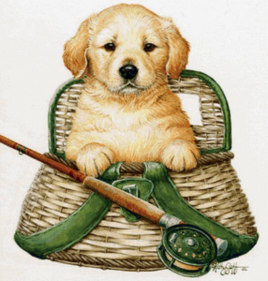 на рыбалку - собаки - предпросмотр