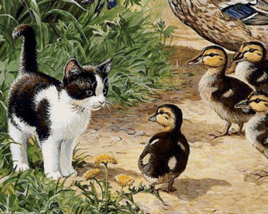 встреча - кот, коты - предпросмотр