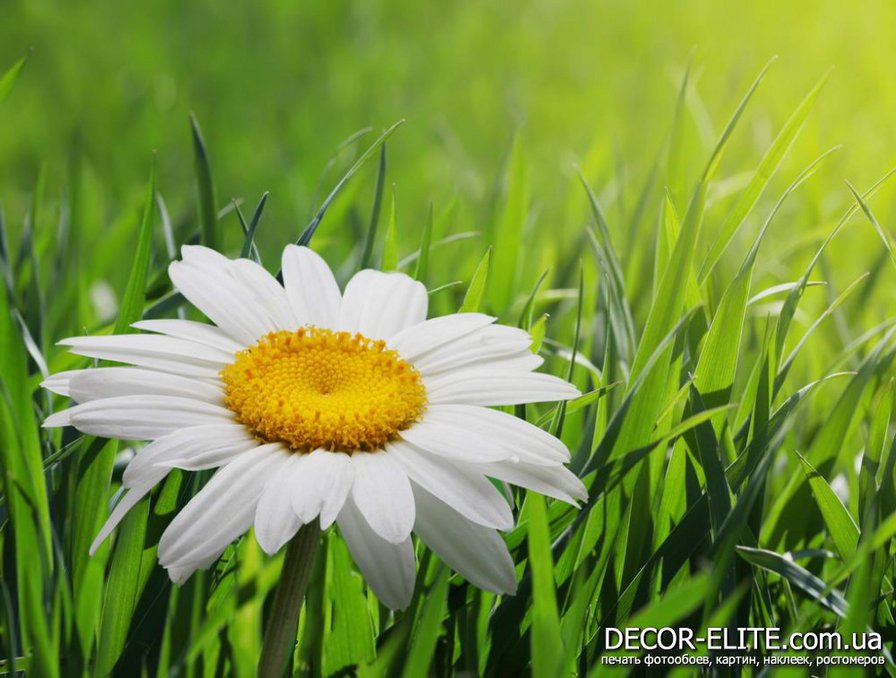 №931922 - оригинал