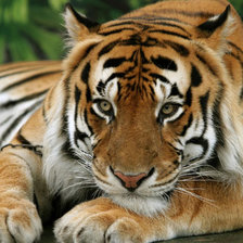 Схема вышивки «№931940»