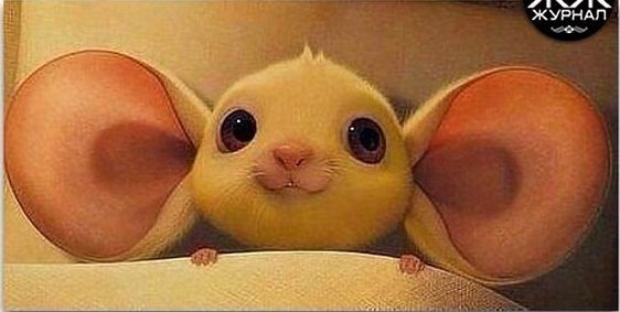 Женщина слушает такими ушами - оригинал