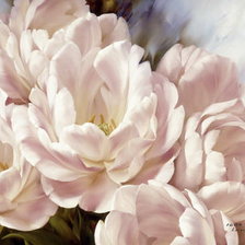 Схема вышивки «Великолепные цветы»