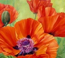 Схема вышивки «Маки»