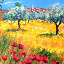 оливковый сад в провансе