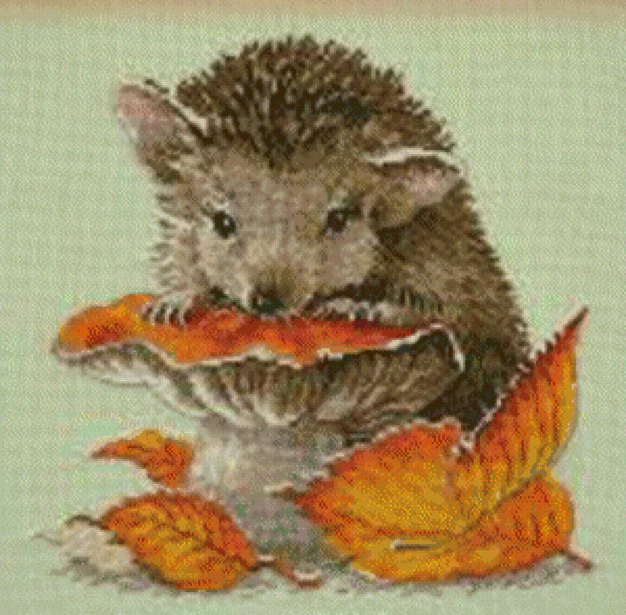 ежик - предпросмотр