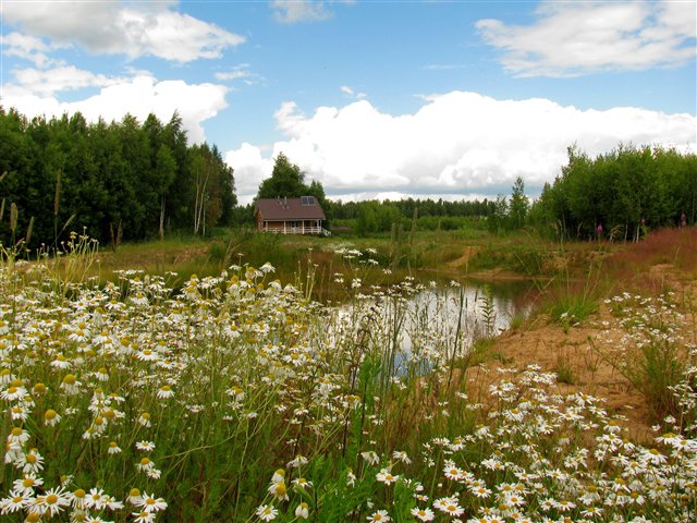 Летняя тишина - река, домик, берег, природа, пейзаж - оригинал