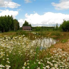 Схема вышивки «Летняя тишина»