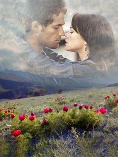 №933069 - оригинал