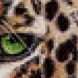 Предпросмотр схемы вышивки «Леопард» (№933582)
