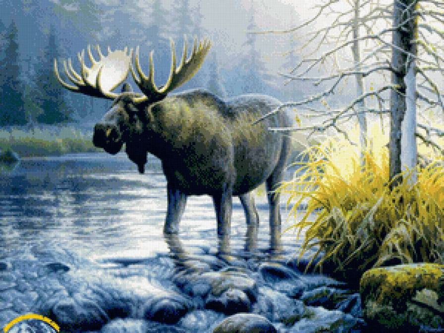 Лось на природе - животные, природа, лось, река - предпросмотр