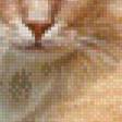 Предпросмотр схемы вышивки «рыжий кот» (№933848)
