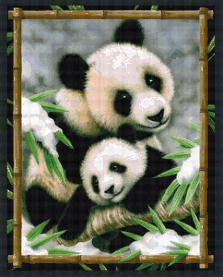 Панда - животные - предпросмотр