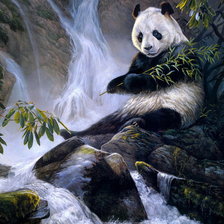 Панда
