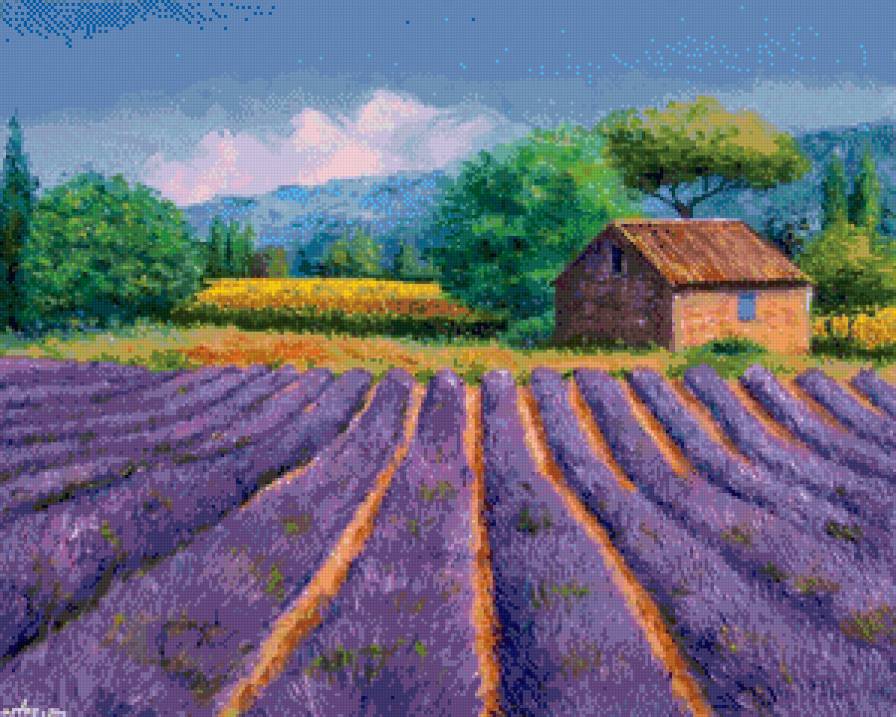 лаванда цветёт - лето, лаванда, природа, пейзаж, цветы, живопись, прованс - предпросмотр