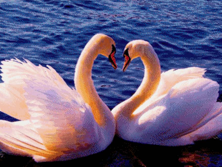 лебеди - предпросмотр