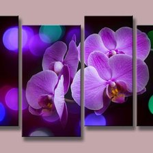 Триптих орхидея